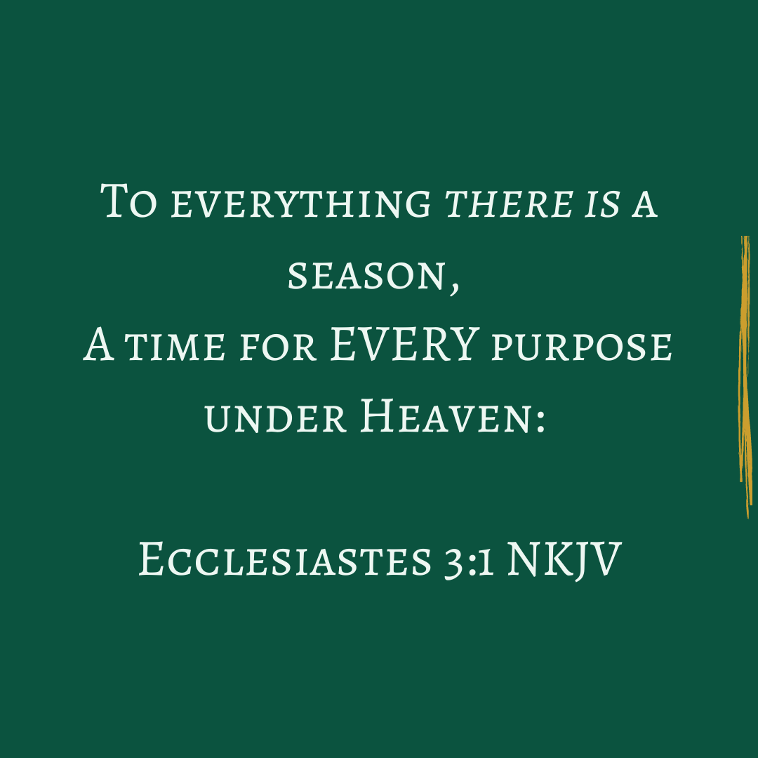 There is a purpose for everything ever and that will ever be created, edpecially you!